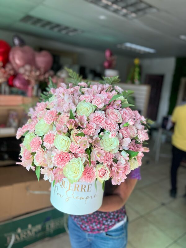 Box de flores mixtas