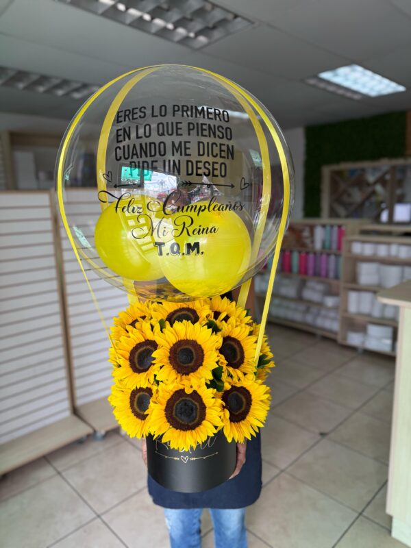 Box de Girasol