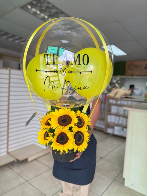 Box de Girasol - Imagen 2