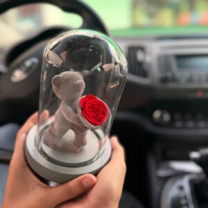 Rosa eterna con oso