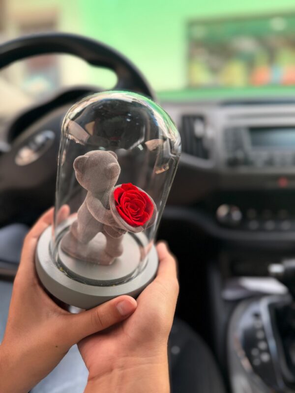 Rosa eterna con oso