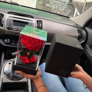 Rosa eterna